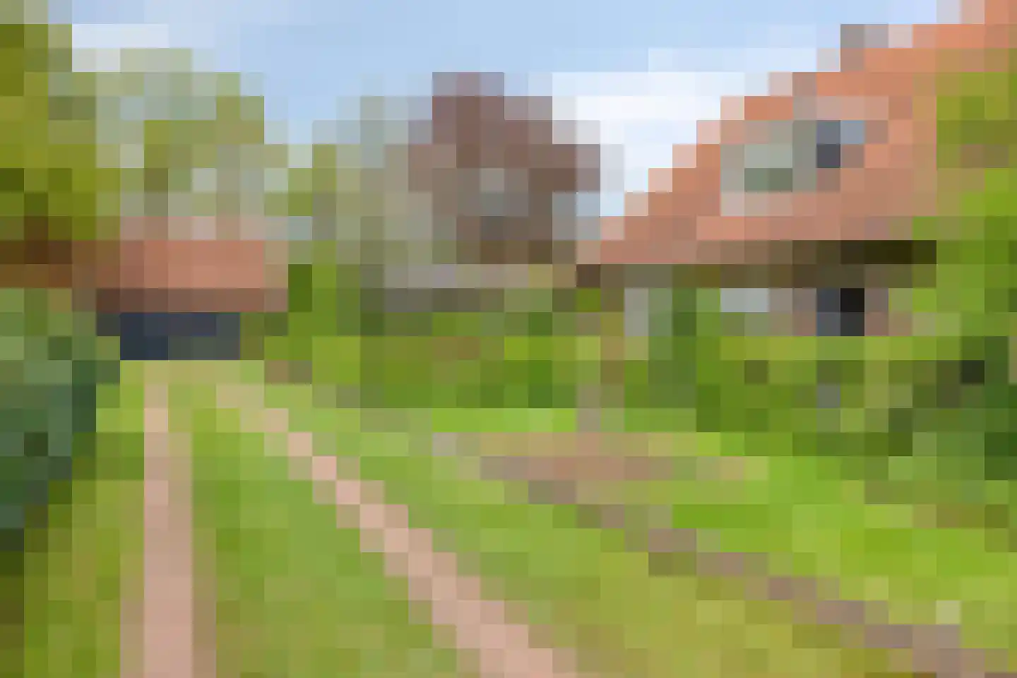 Lossersedijk 3 de Lutte thumbnail 4