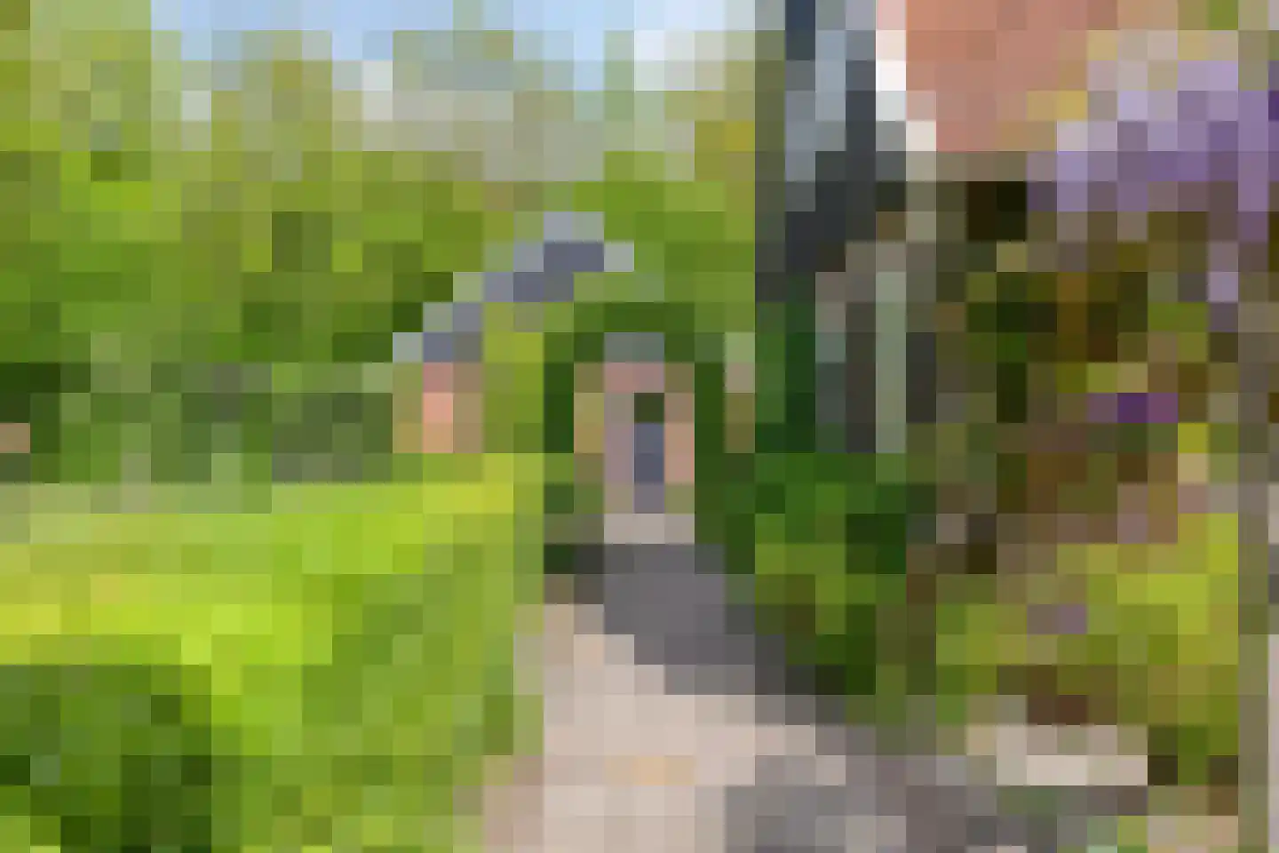 Lossersedijk 3 de Lutte thumbnail 42