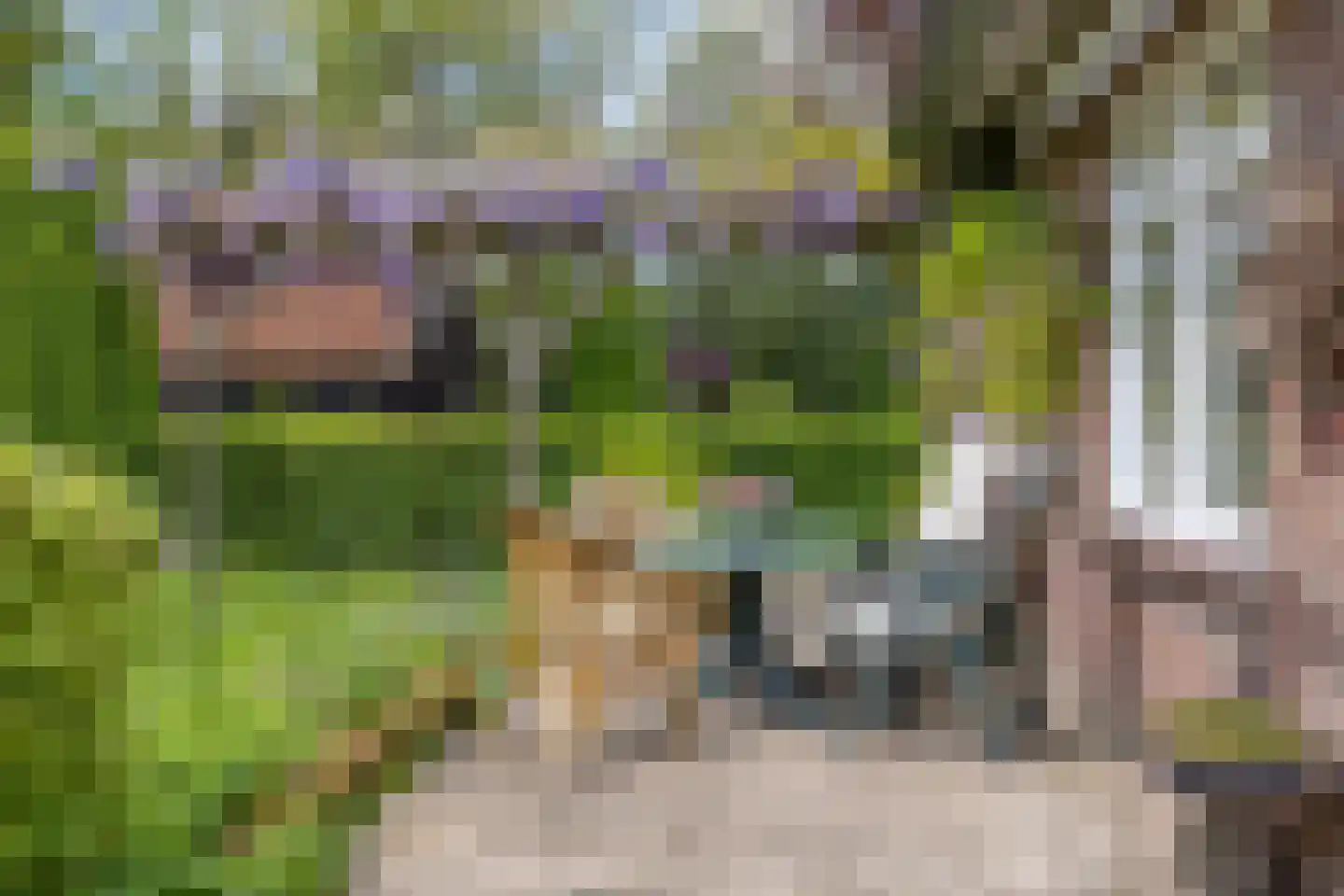 Lossersedijk 3 de Lutte thumbnail 43
