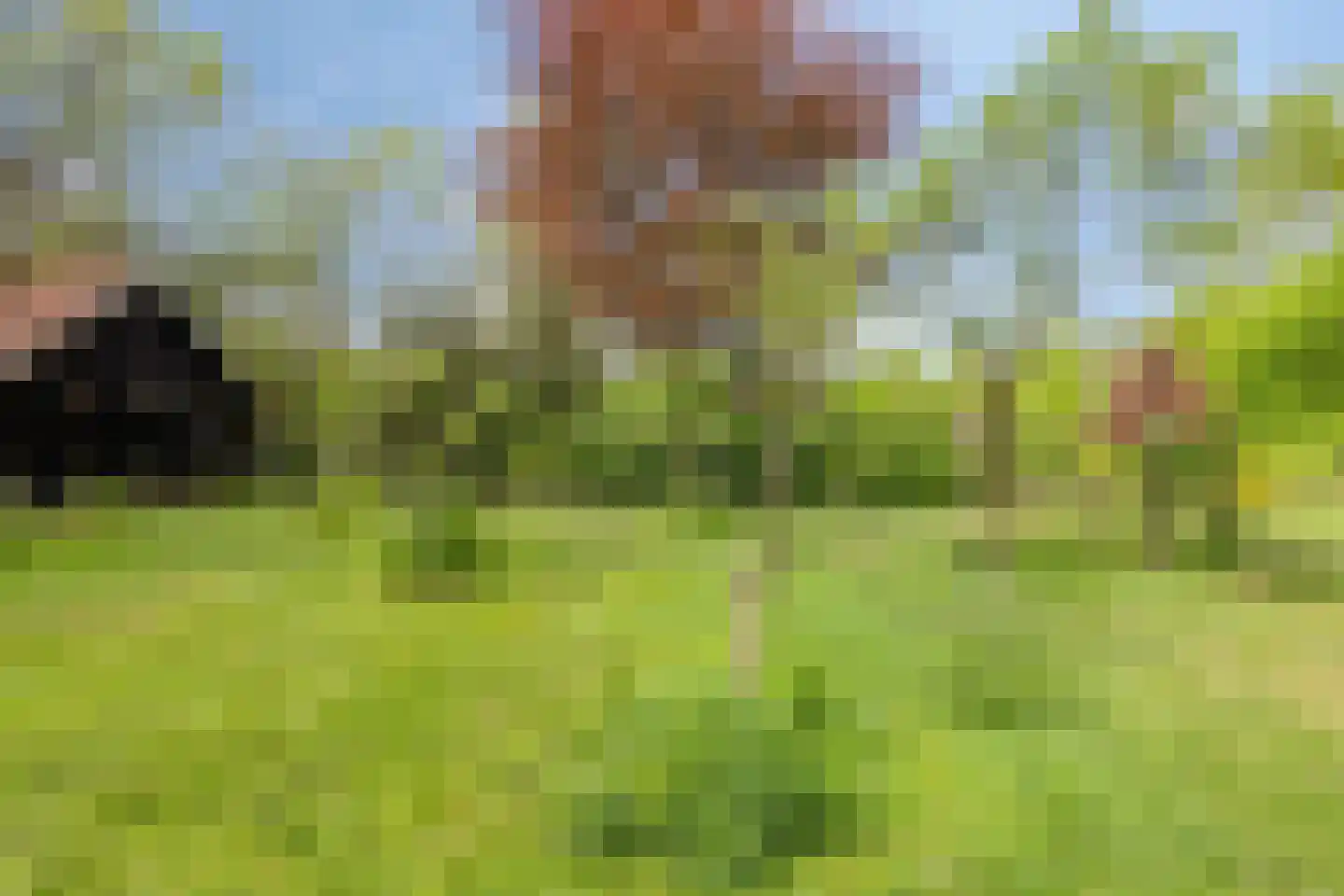Lossersedijk 3 de Lutte thumbnail 44