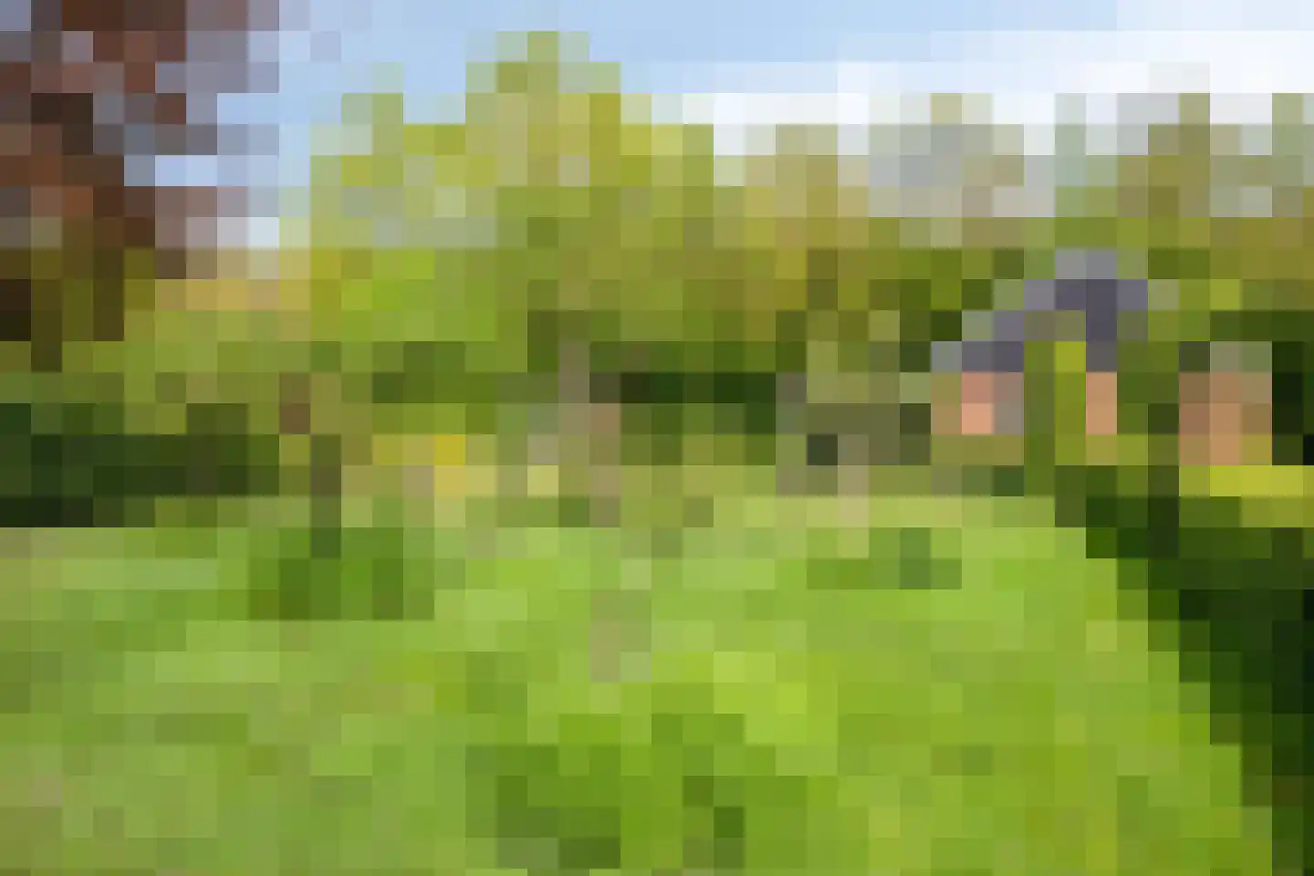 Lossersedijk 3 de Lutte thumbnail 45