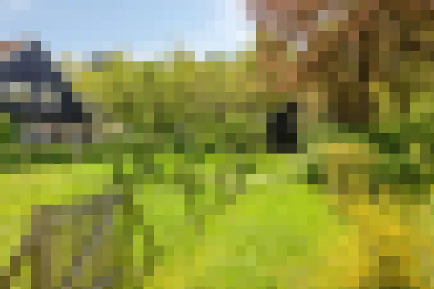Lossersedijk 3 de Lutte thumbnail 46