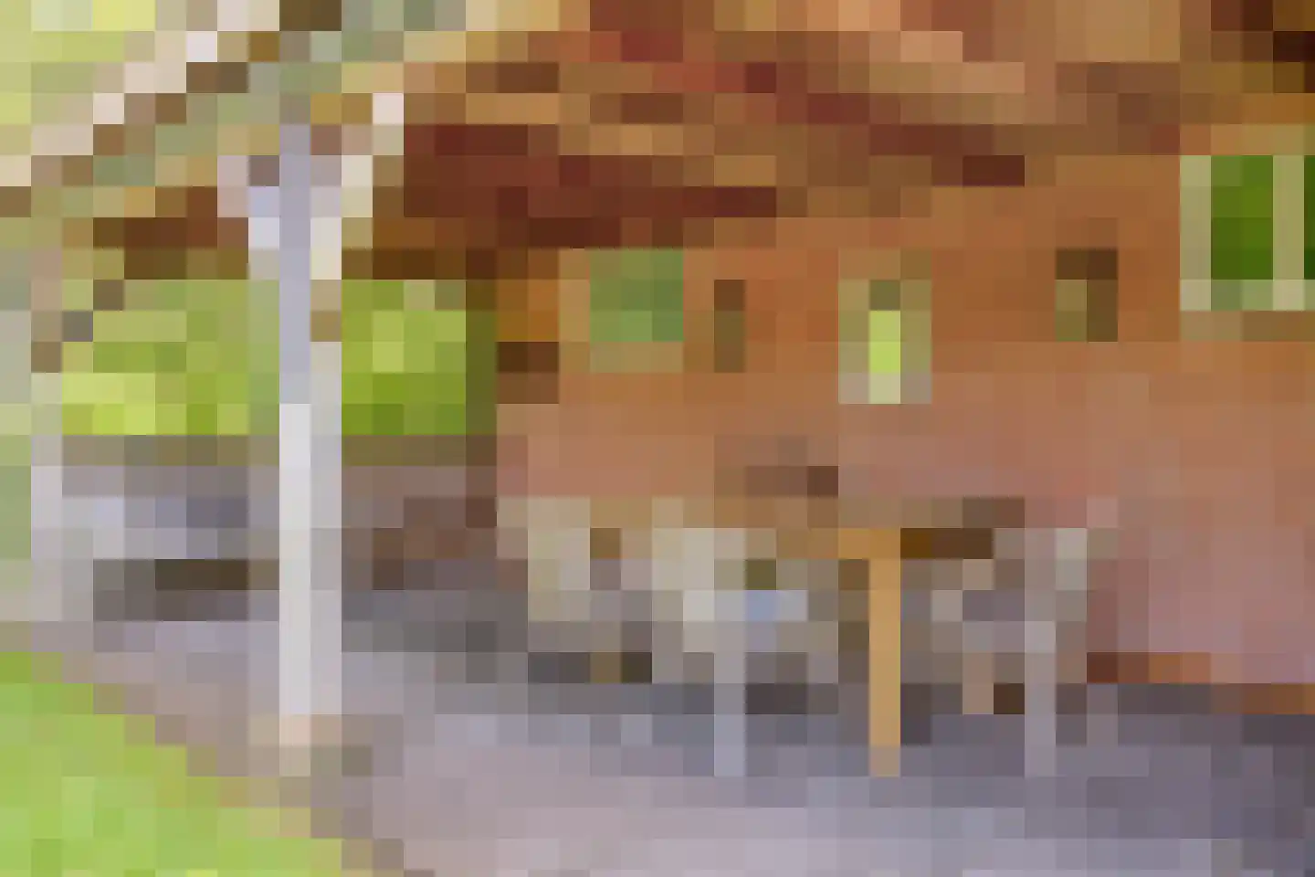 Lossersedijk 3 de Lutte thumbnail 47