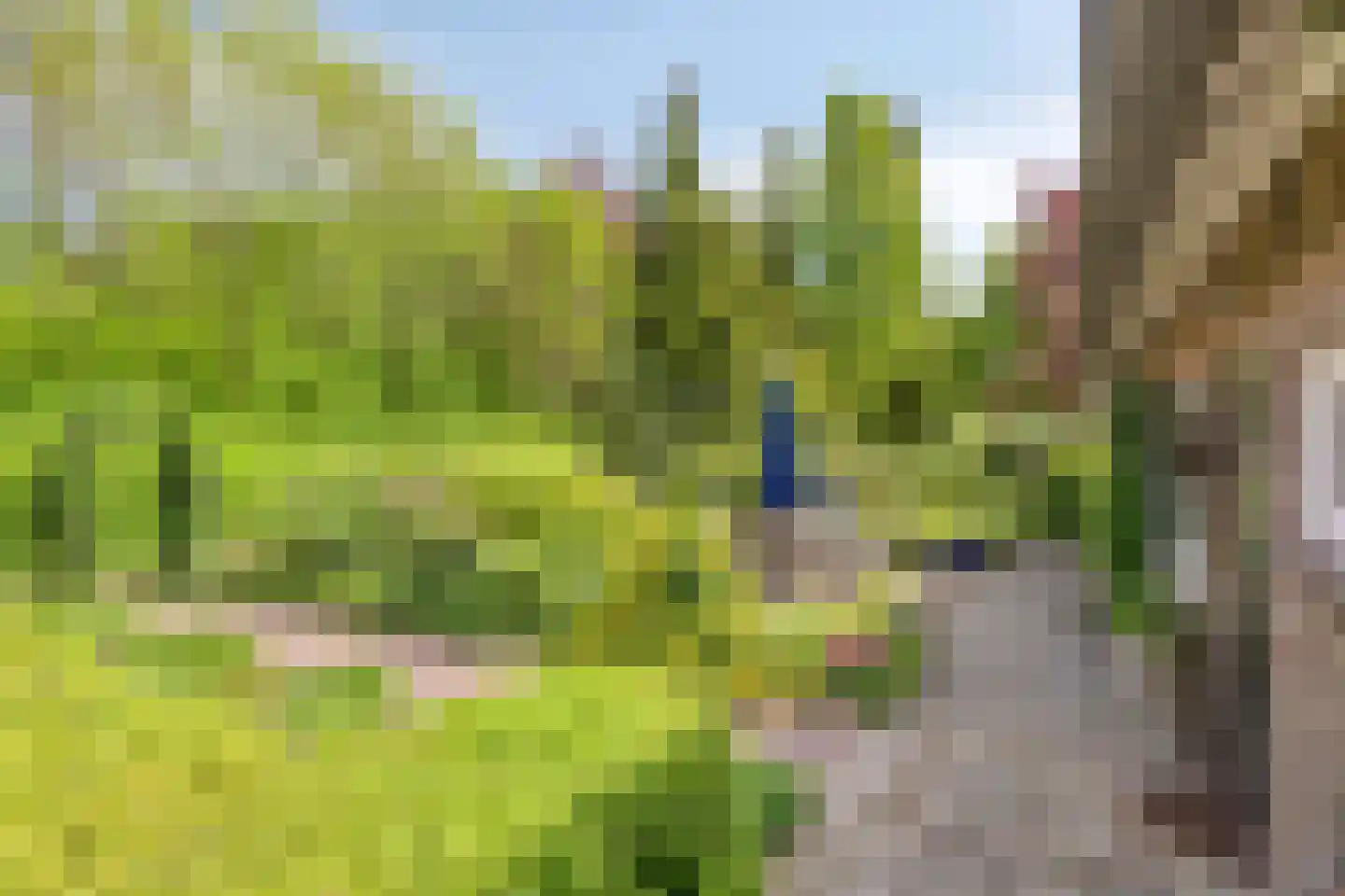 Lossersedijk 3 de Lutte thumbnail 48