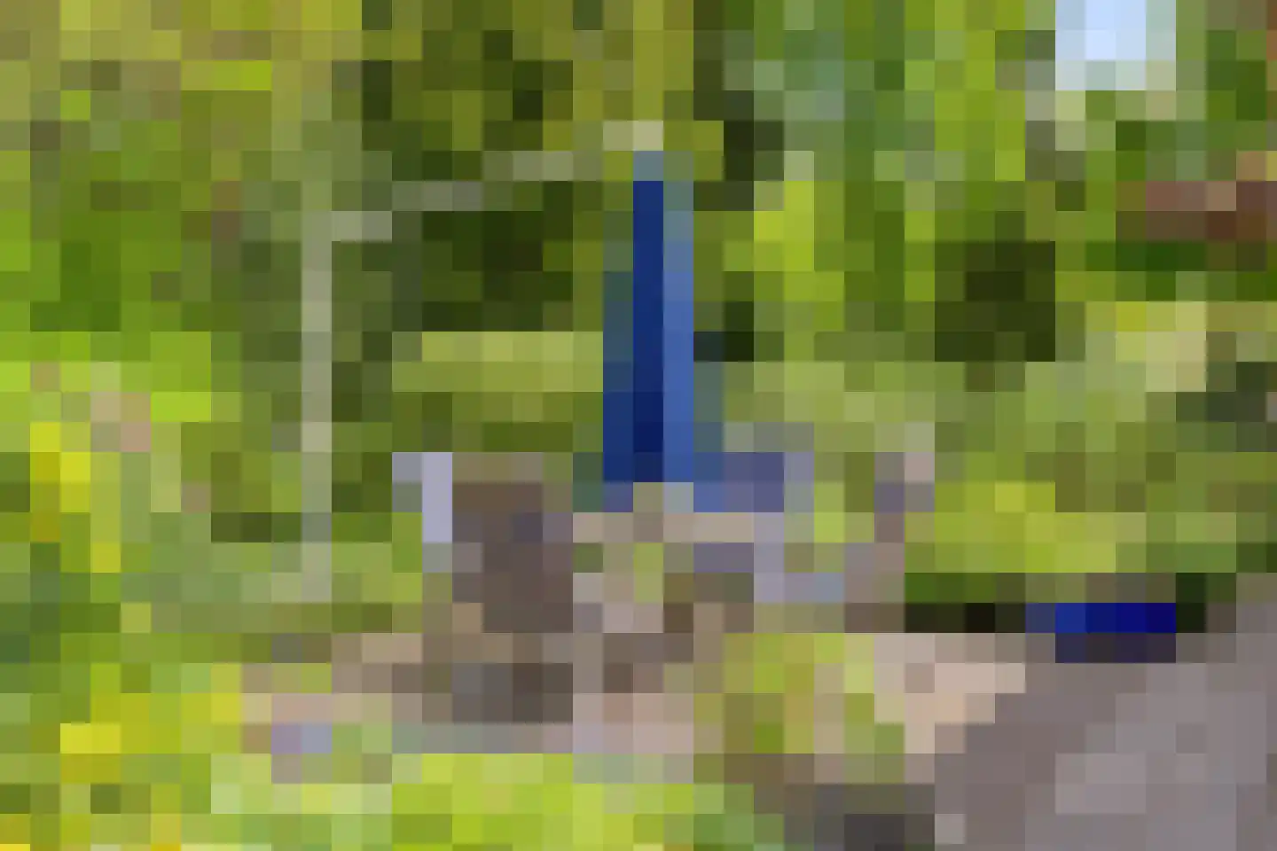 Lossersedijk 3 de Lutte thumbnail 49
