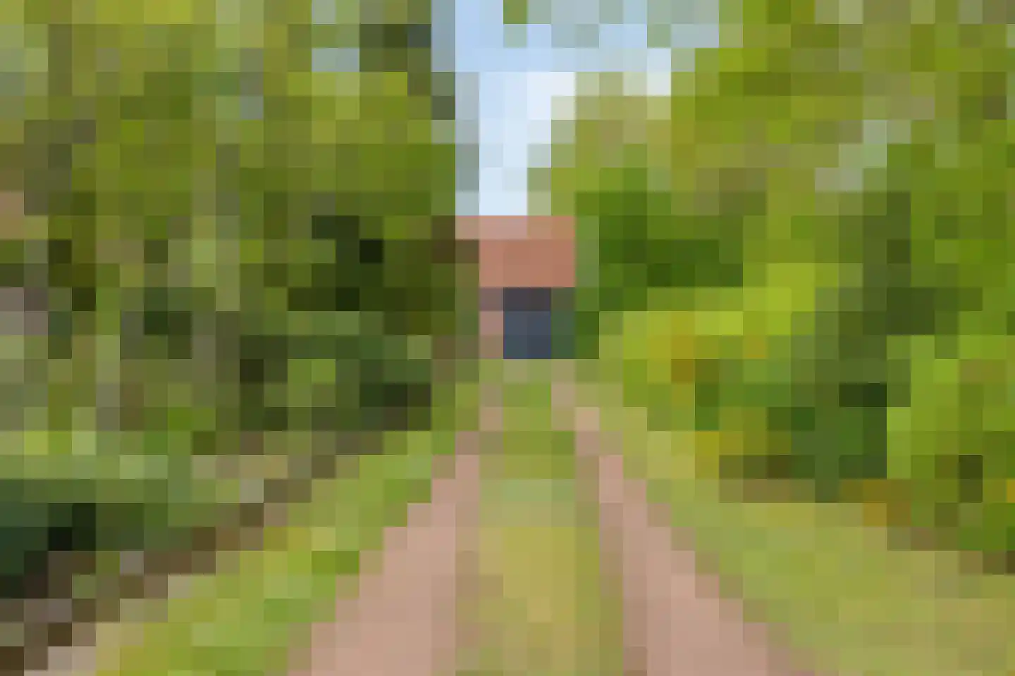 Lossersedijk 3 de Lutte thumbnail 5