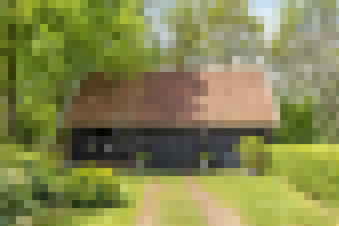 Lossersedijk 3 de Lutte thumbnail 50