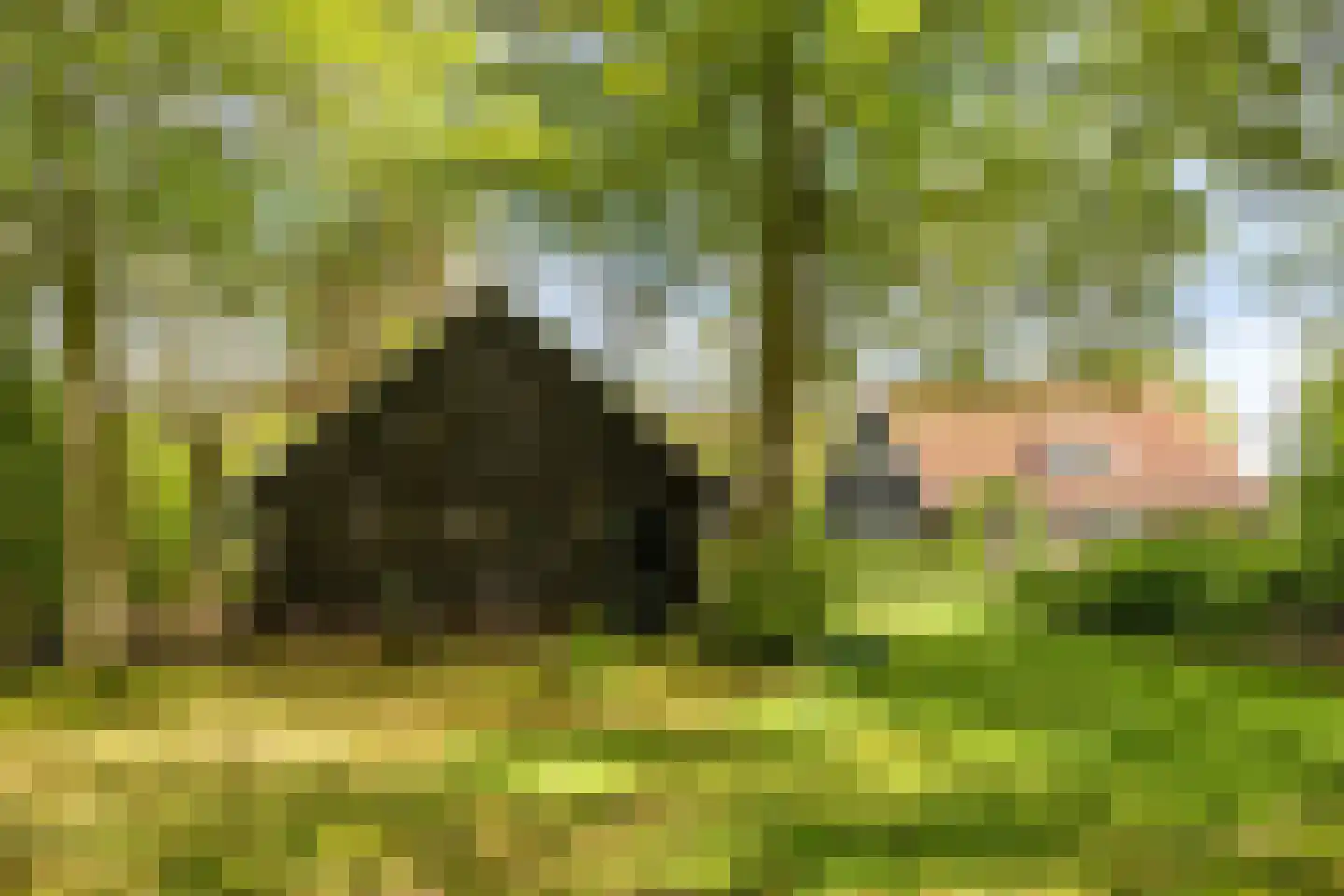 Lossersedijk 3 de Lutte thumbnail 51