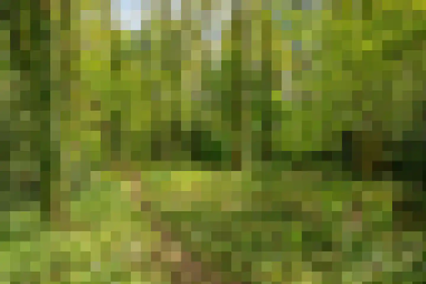 Lossersedijk 3 de Lutte thumbnail 52