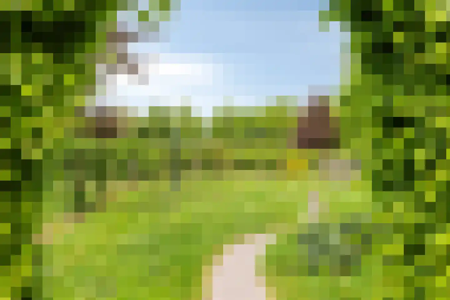 Lossersedijk 3 de Lutte thumbnail 54