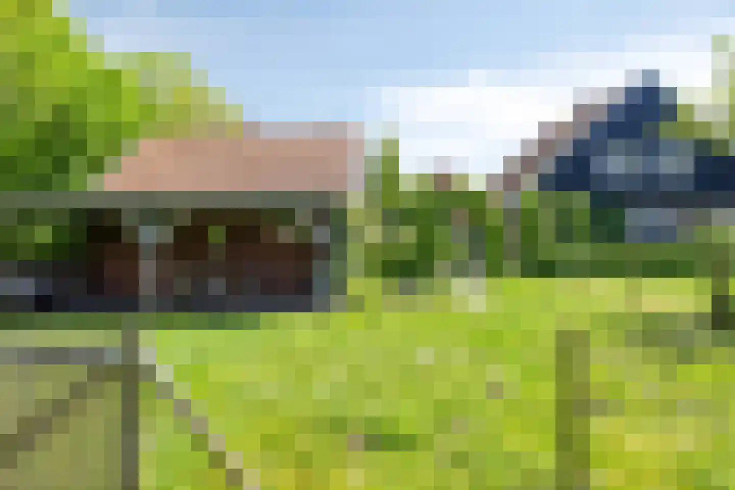 Lossersedijk 3 de Lutte thumbnail 56