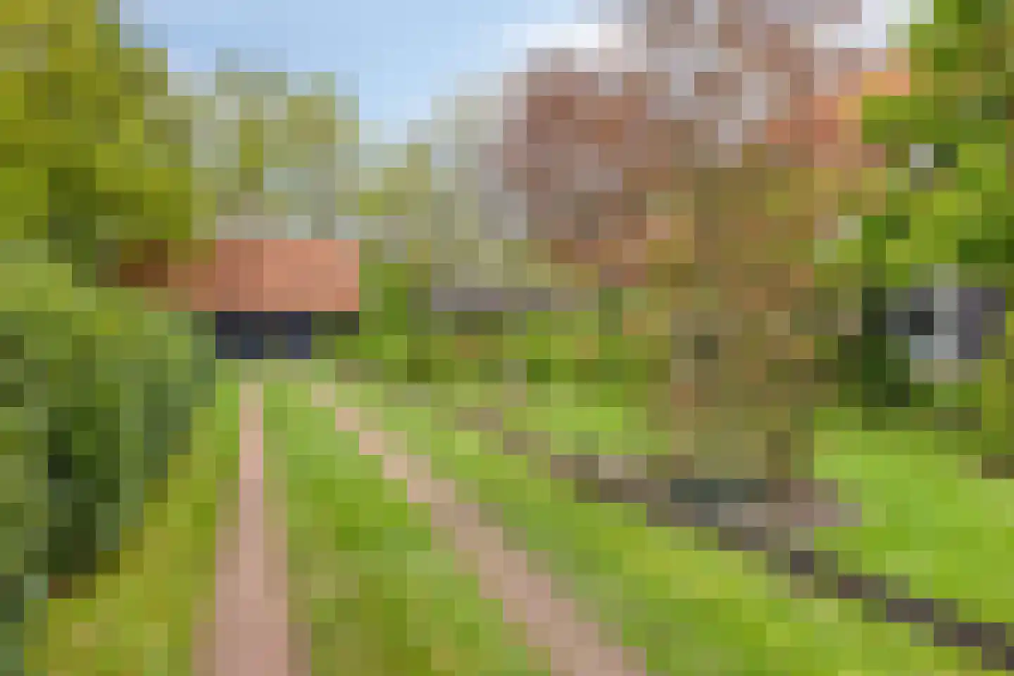 Lossersedijk 3 de Lutte thumbnail 57