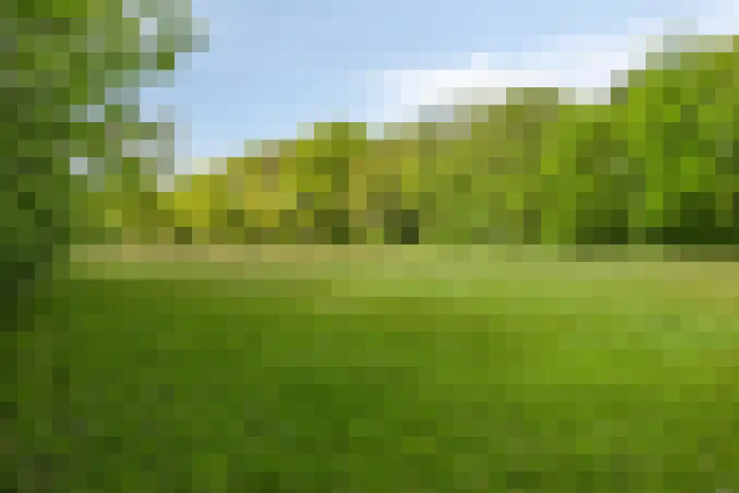 Lossersedijk 3 de Lutte thumbnail 59