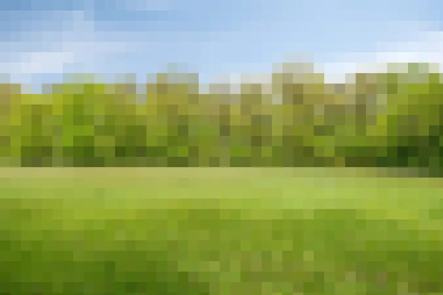 Lossersedijk 3 de Lutte thumbnail 60
