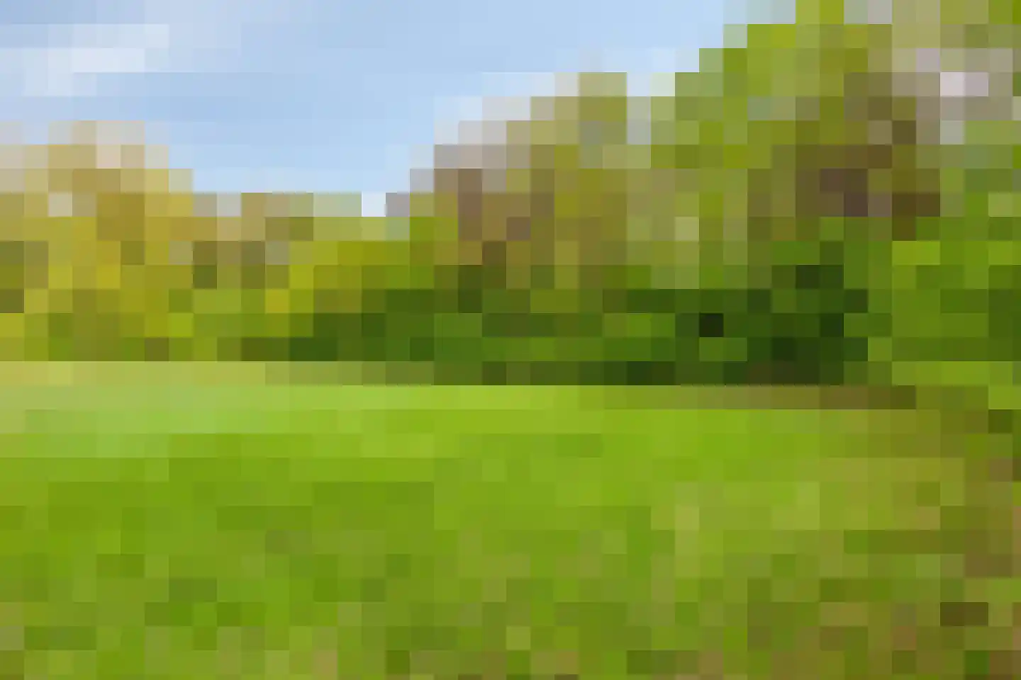 Lossersedijk 3 de Lutte thumbnail 61