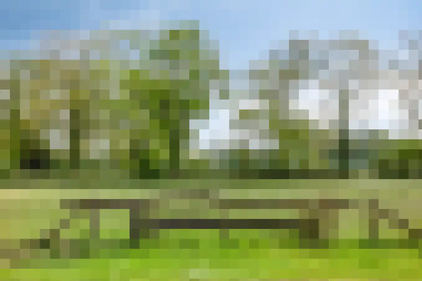 Lossersedijk 3 de Lutte thumbnail 62