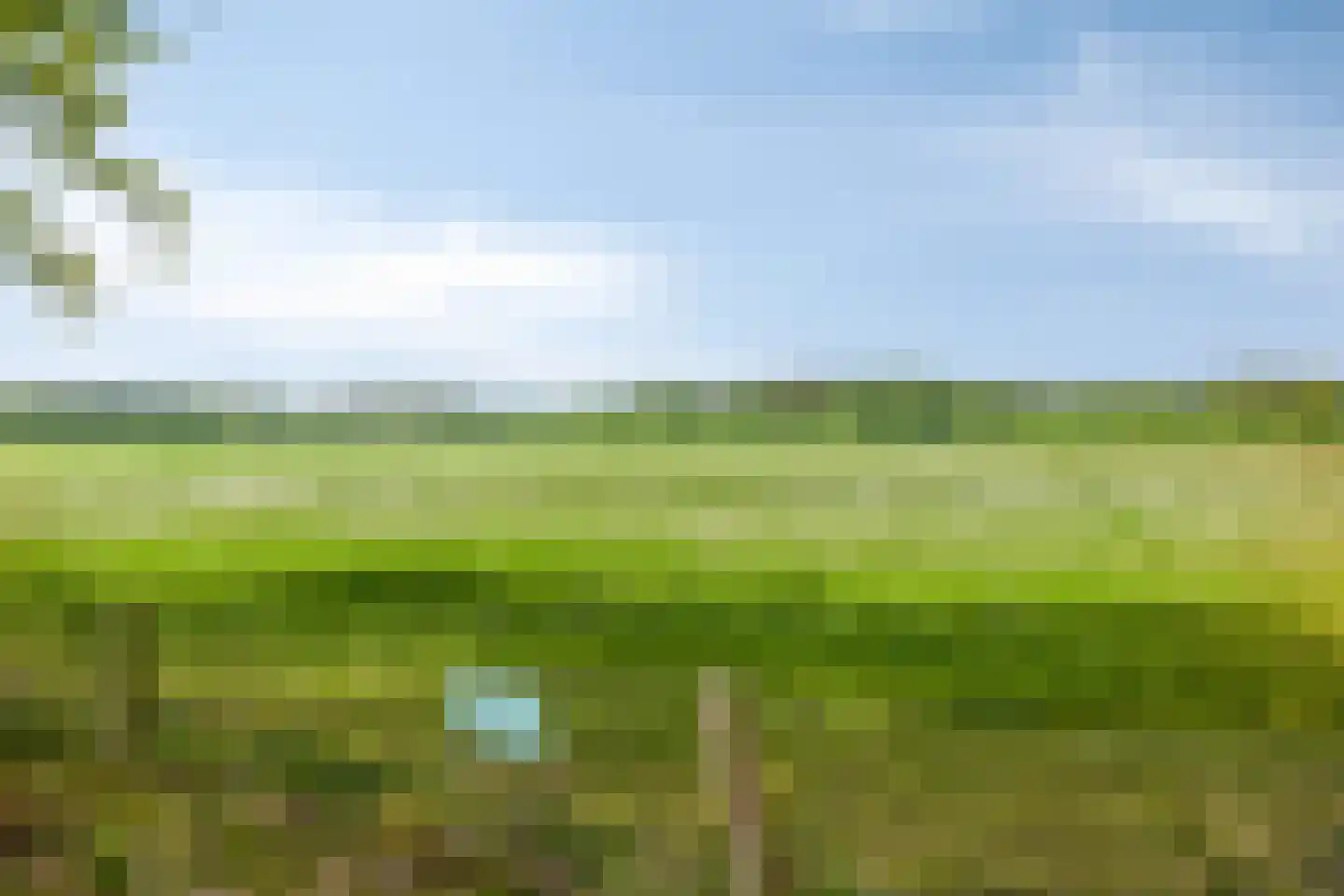 Lossersedijk 3 de Lutte thumbnail 63