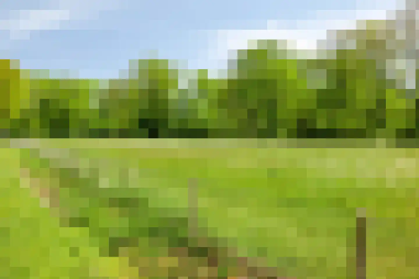 Lossersedijk 3 de Lutte thumbnail 64