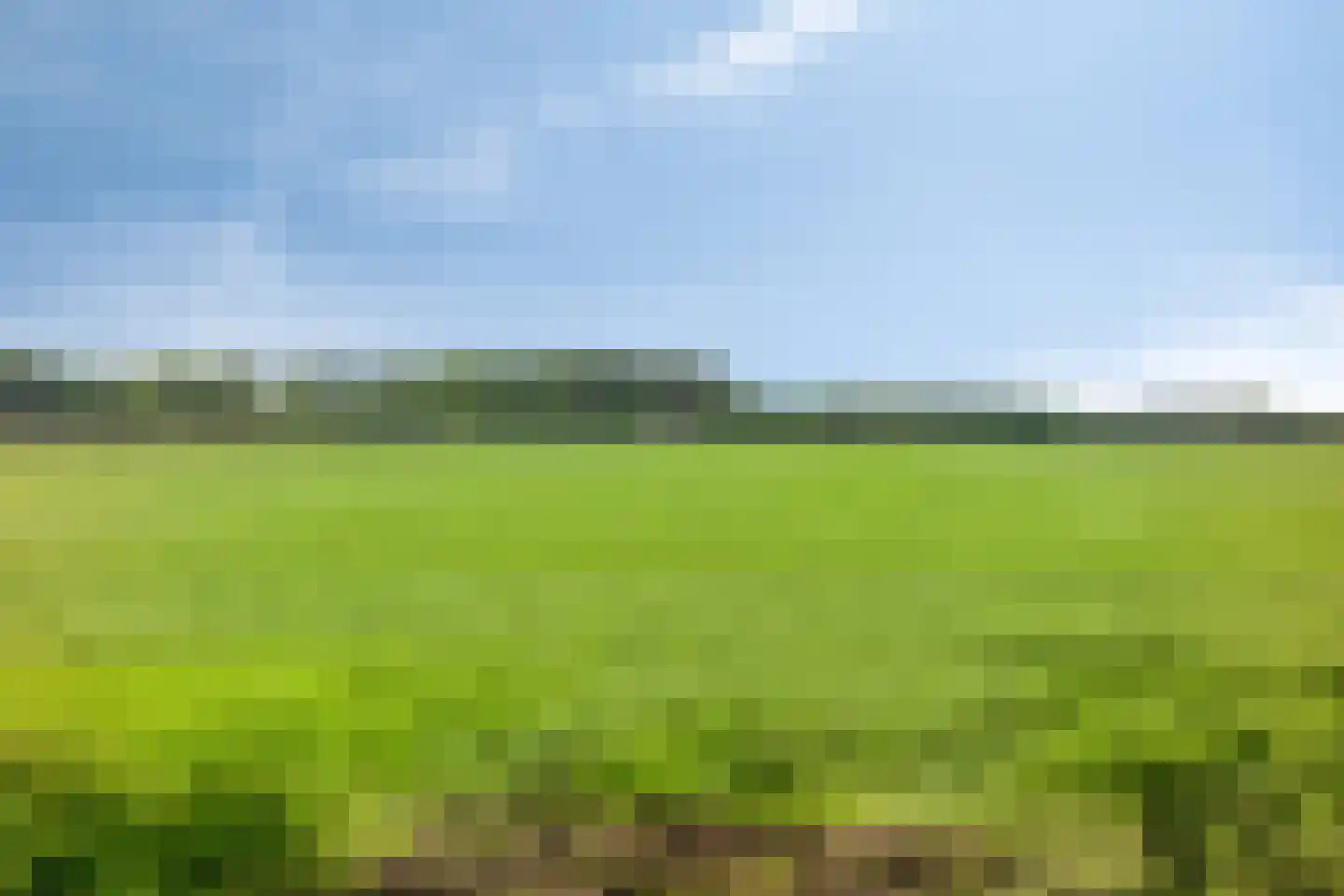 Lossersedijk 3 de Lutte thumbnail 65