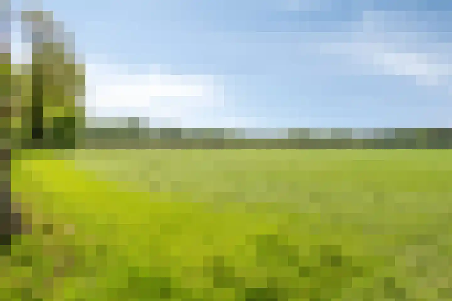 Lossersedijk 3 de Lutte thumbnail 67