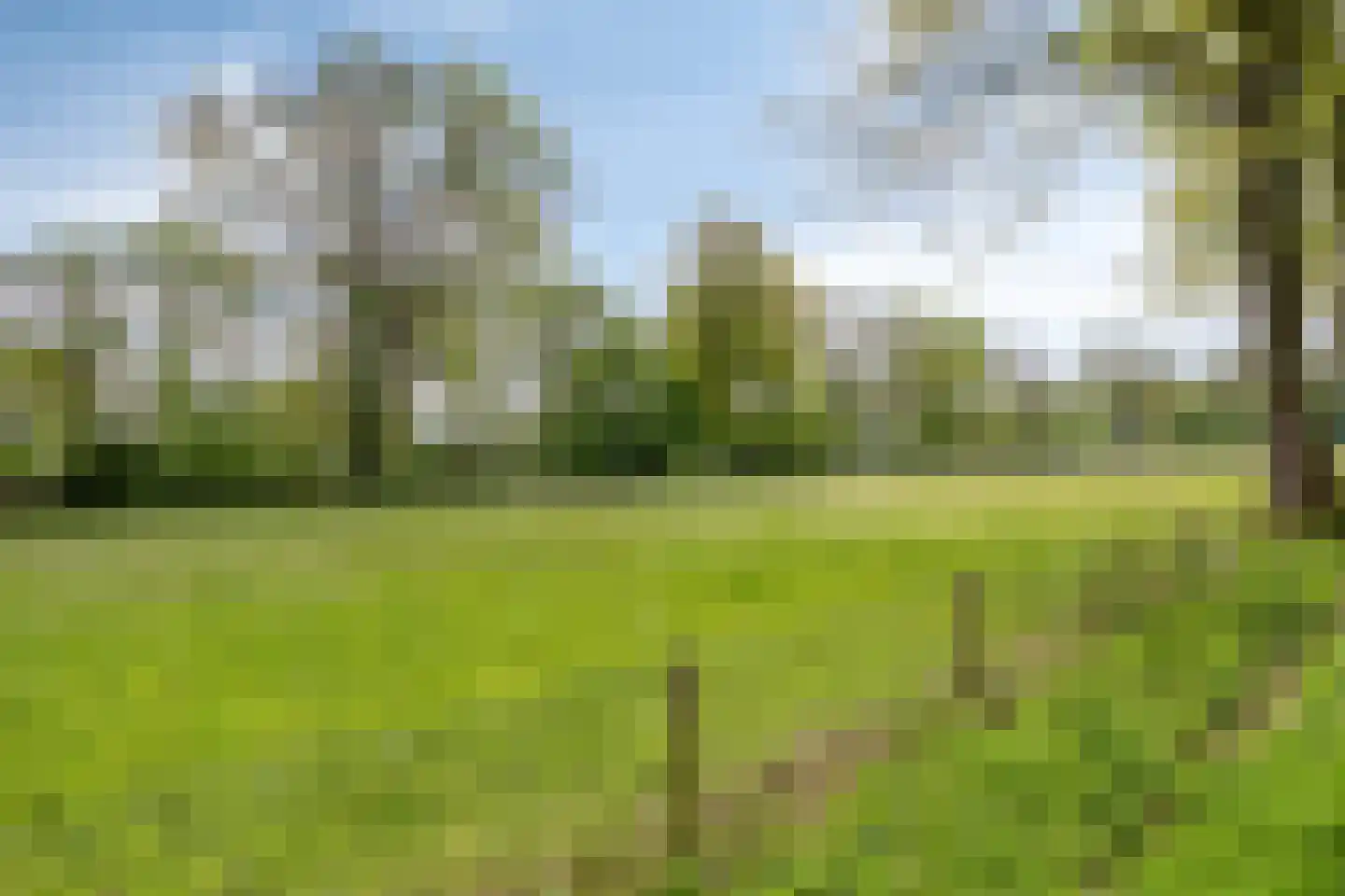 Lossersedijk 3 de Lutte thumbnail 68