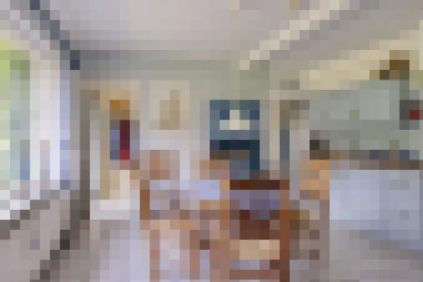 Lossersedijk 3 de Lutte thumbnail 7