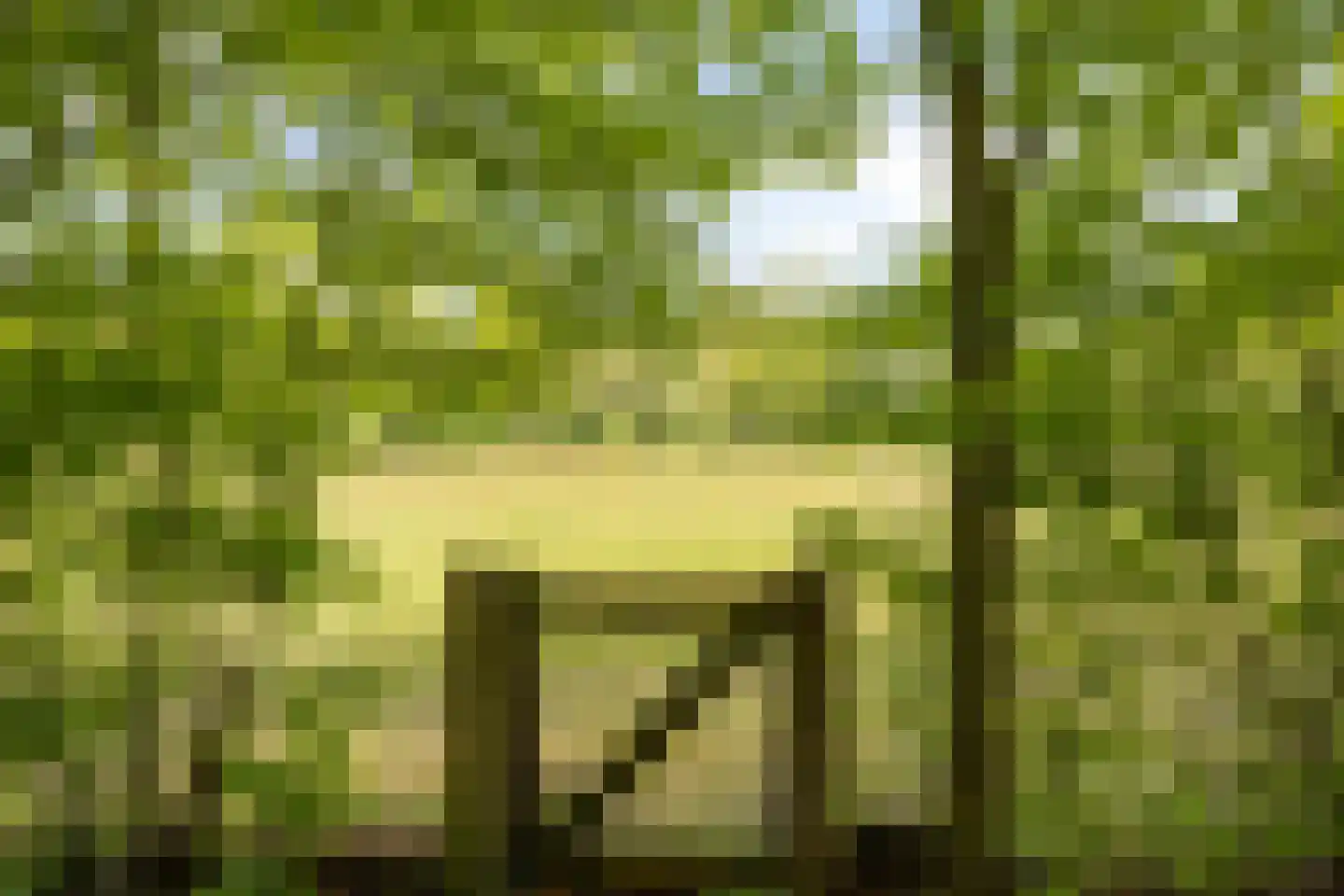 Lossersedijk 3 de Lutte thumbnail 71