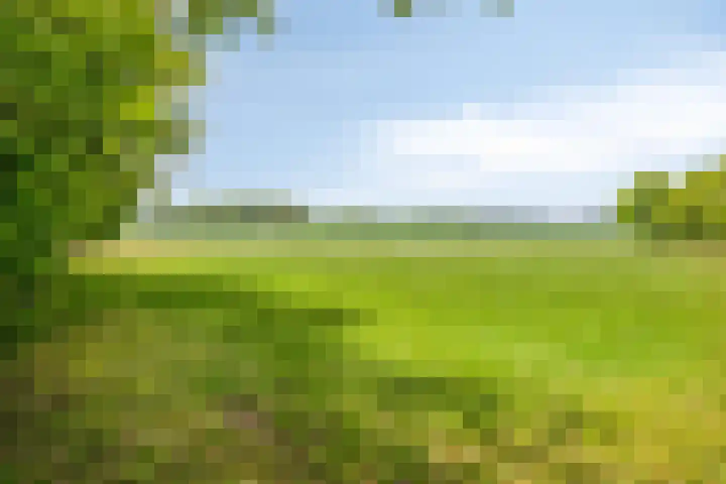 Lossersedijk 3 de Lutte thumbnail 72
