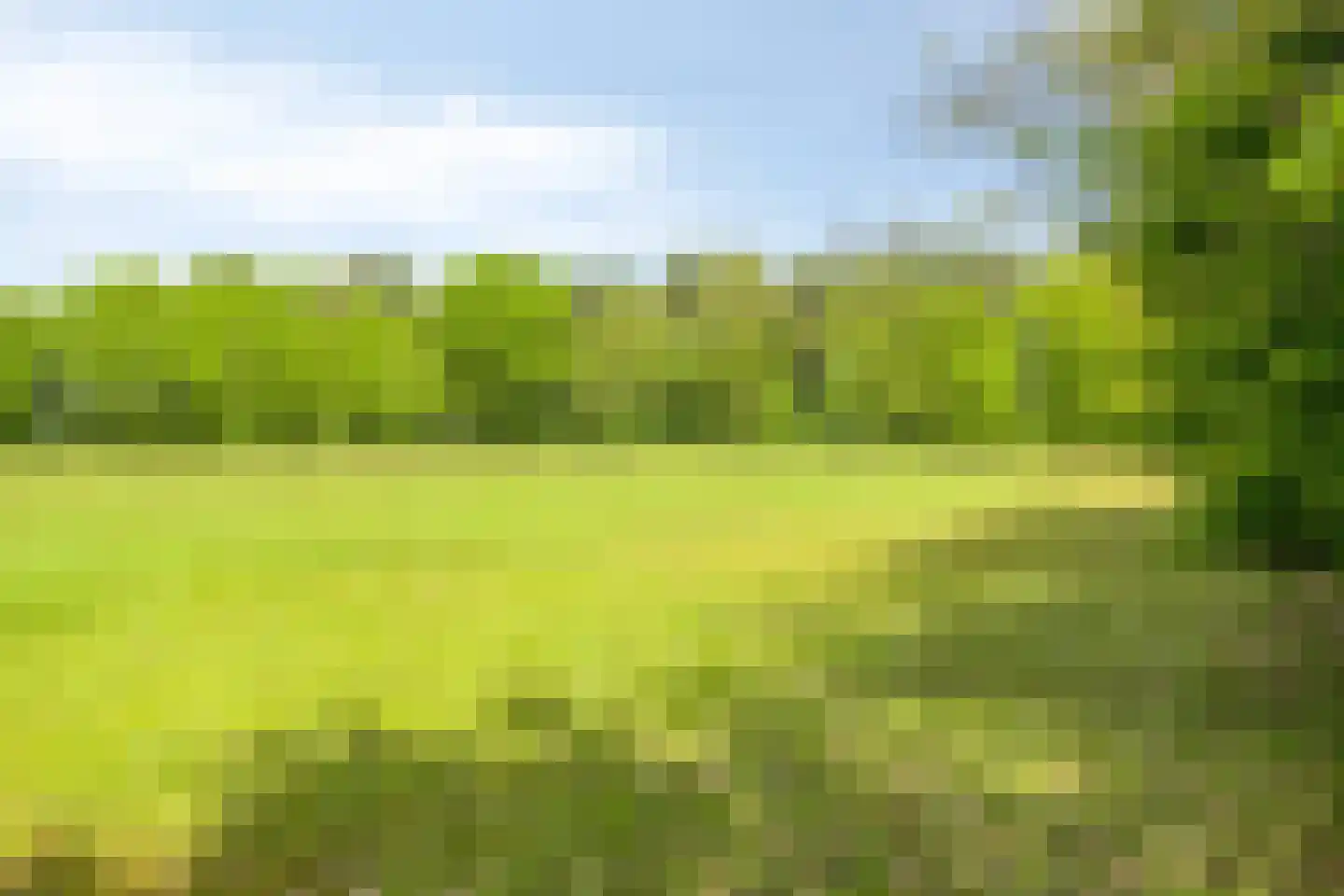 Lossersedijk 3 de Lutte thumbnail 73