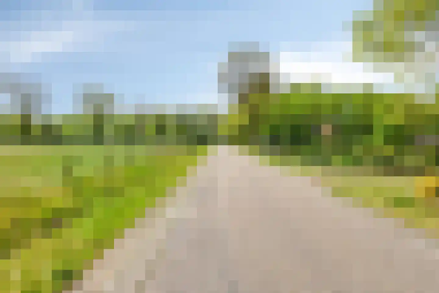 Lossersedijk 3 de Lutte thumbnail 74