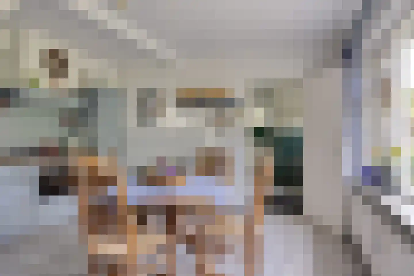 Lossersedijk 3 de Lutte thumbnail 8
