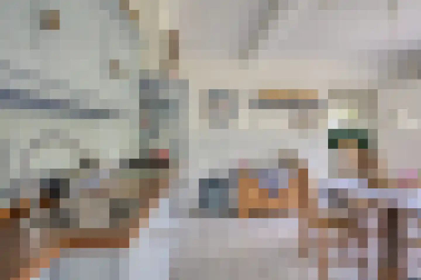 Lossersedijk 3 de Lutte thumbnail 9