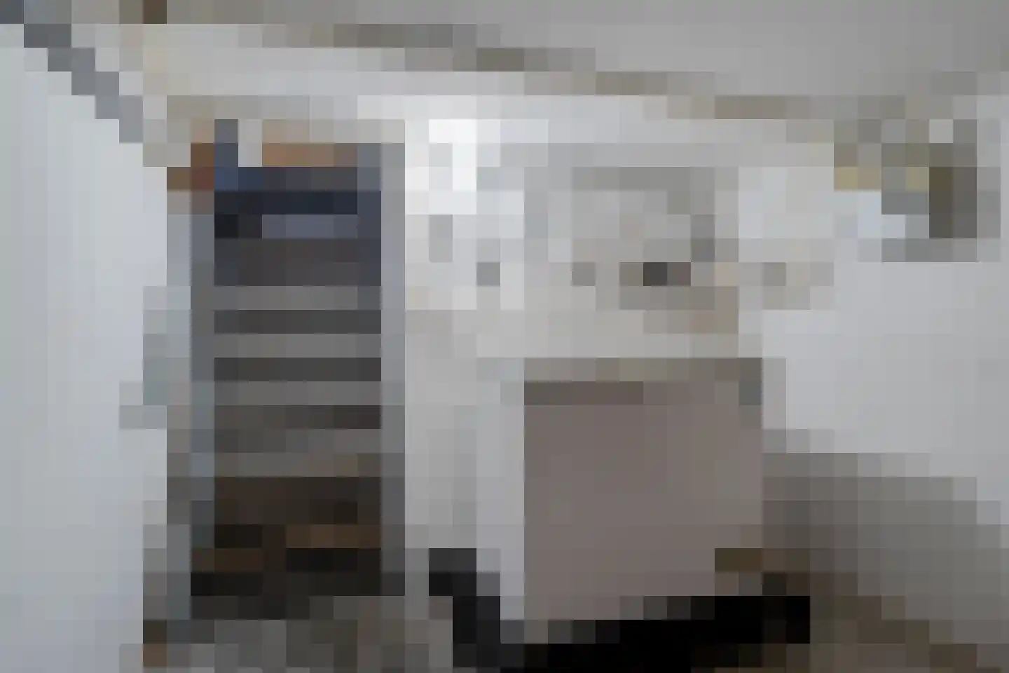 Lossersestraat 172 Oldenzaal thumbnail 18
