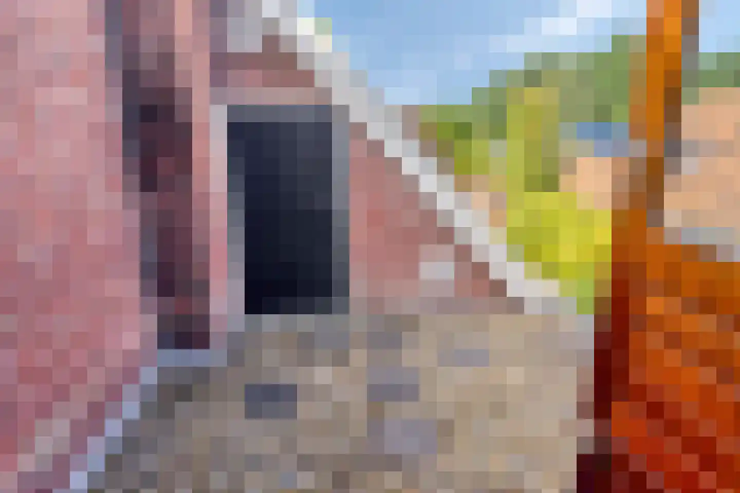 Lossersestraat 172 Oldenzaal thumbnail 19