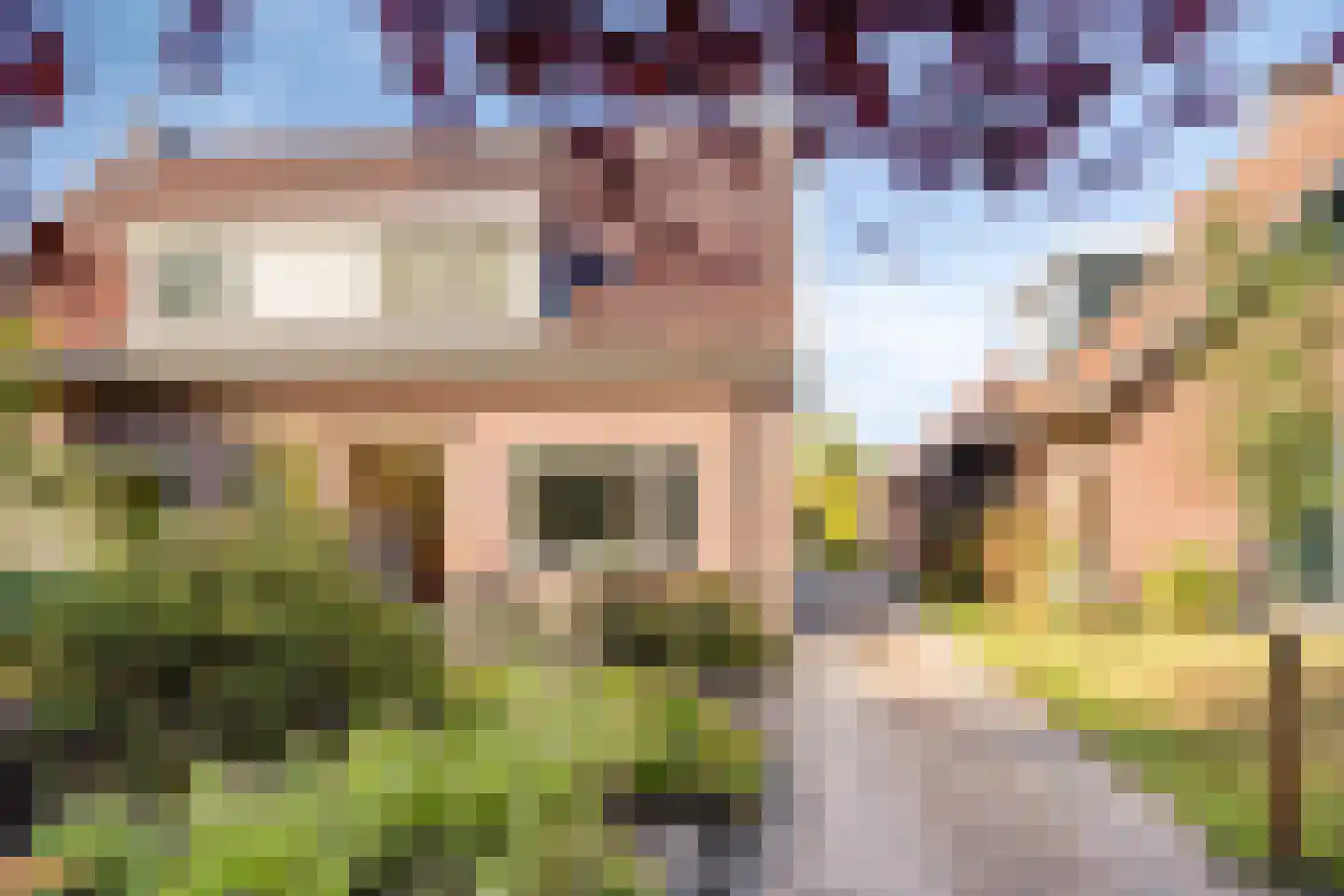 Lossersestraat 172 Oldenzaal thumbnail 4