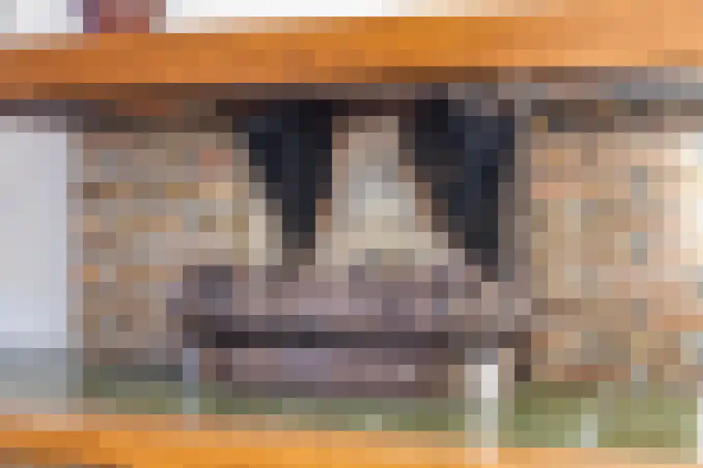 Lossersestraat 172 Oldenzaal thumbnail 7