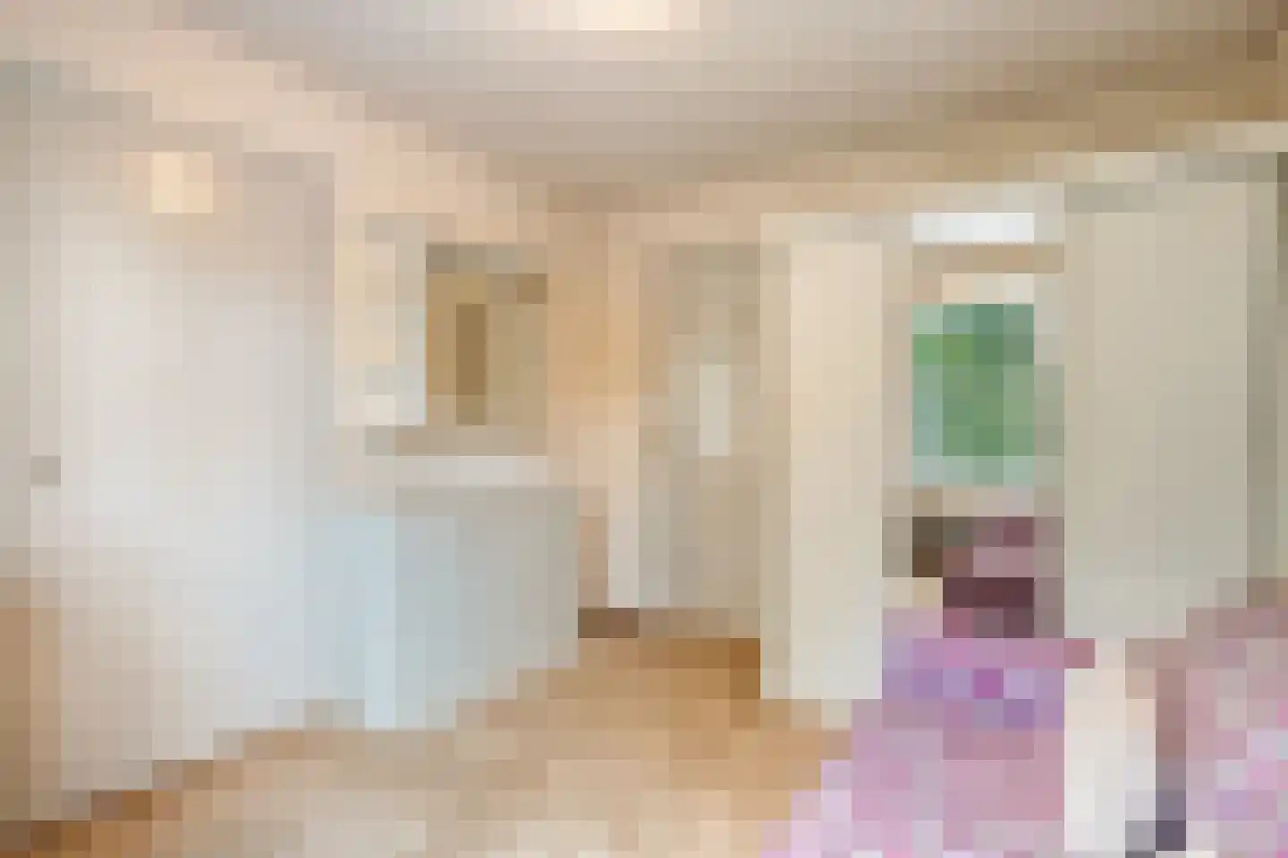 Lossersestraat 7 de Lutte thumbnail 16