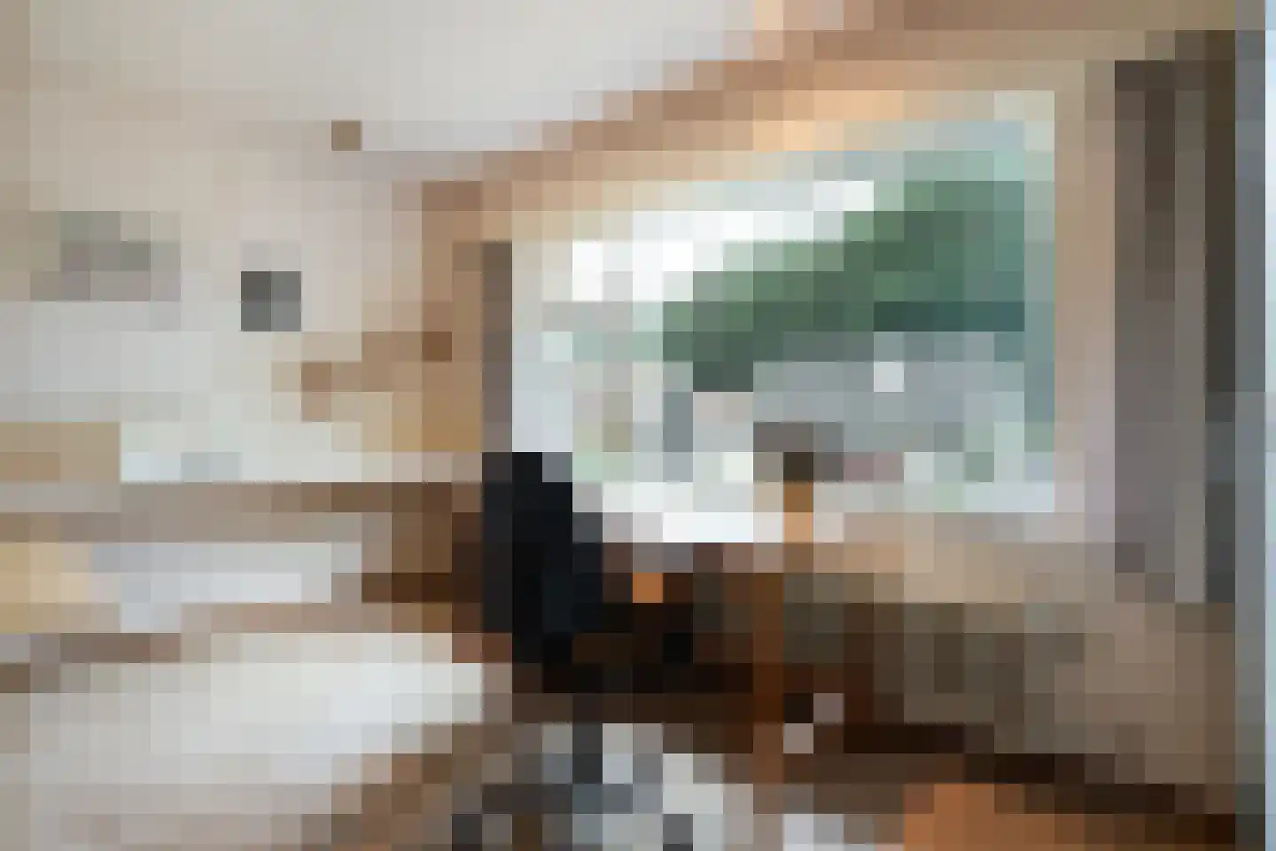 Lossersestraat 7 de Lutte thumbnail 17