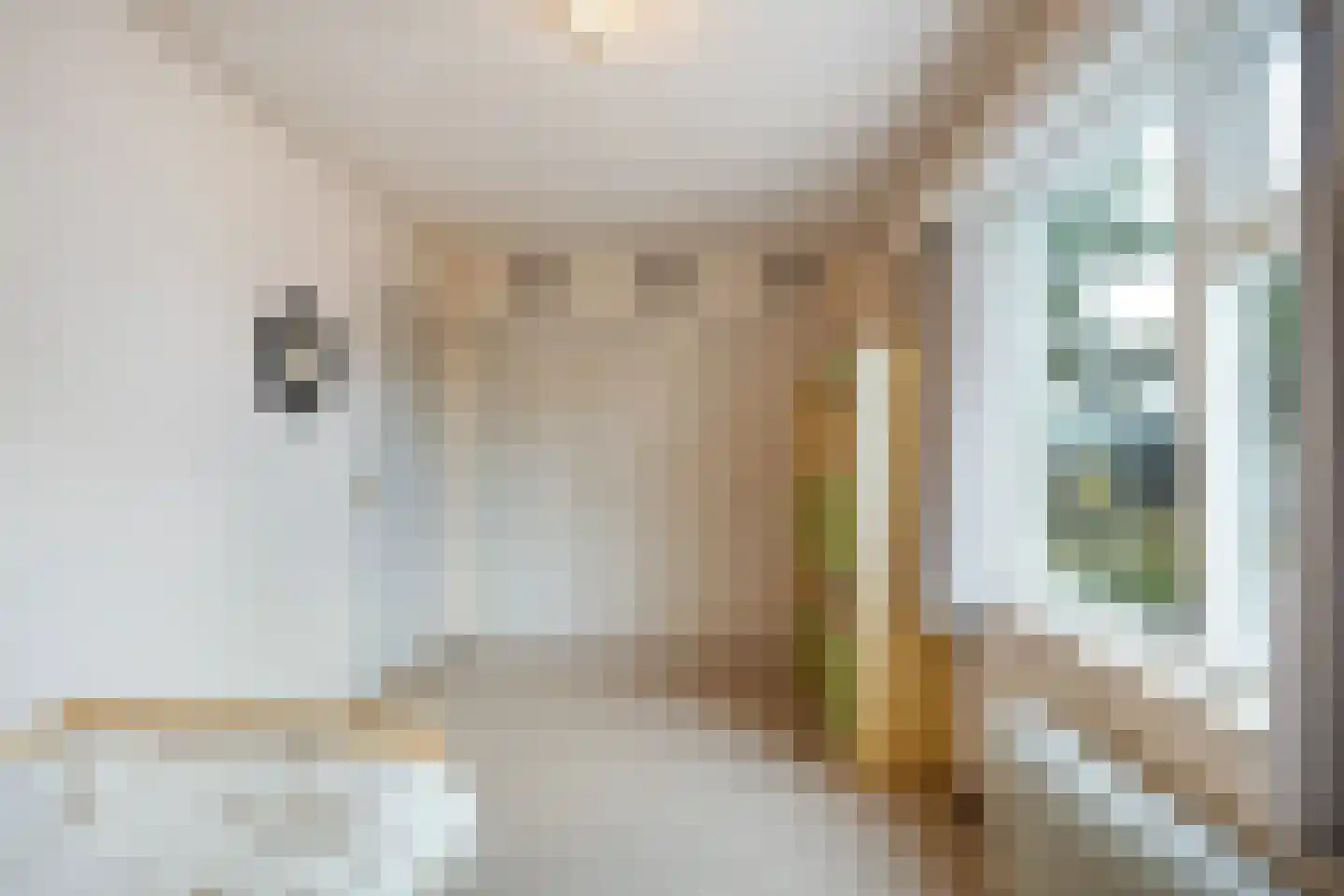 Lossersestraat 7 de Lutte thumbnail 18