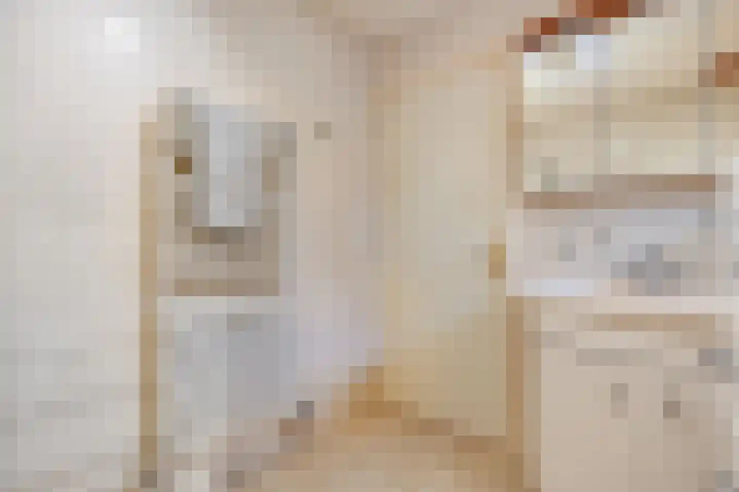 Lossersestraat 7 de Lutte thumbnail 19