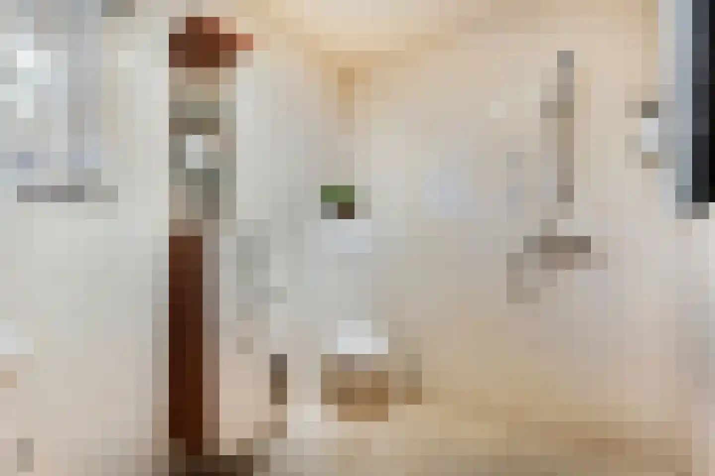 Lossersestraat 7 de Lutte thumbnail 20