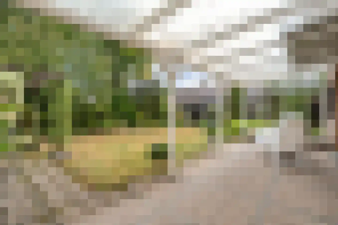 Lossersestraat 7 de Lutte thumbnail 22