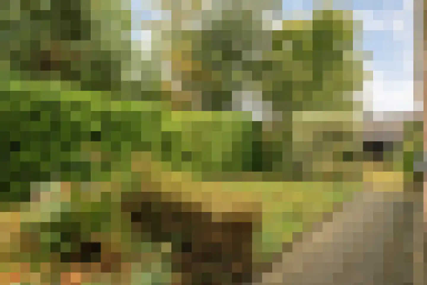 Lossersestraat 7 de Lutte thumbnail 23