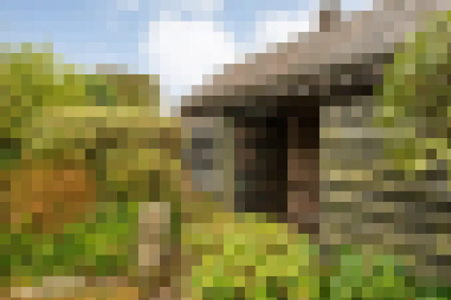Lossersestraat 7 de Lutte thumbnail 24