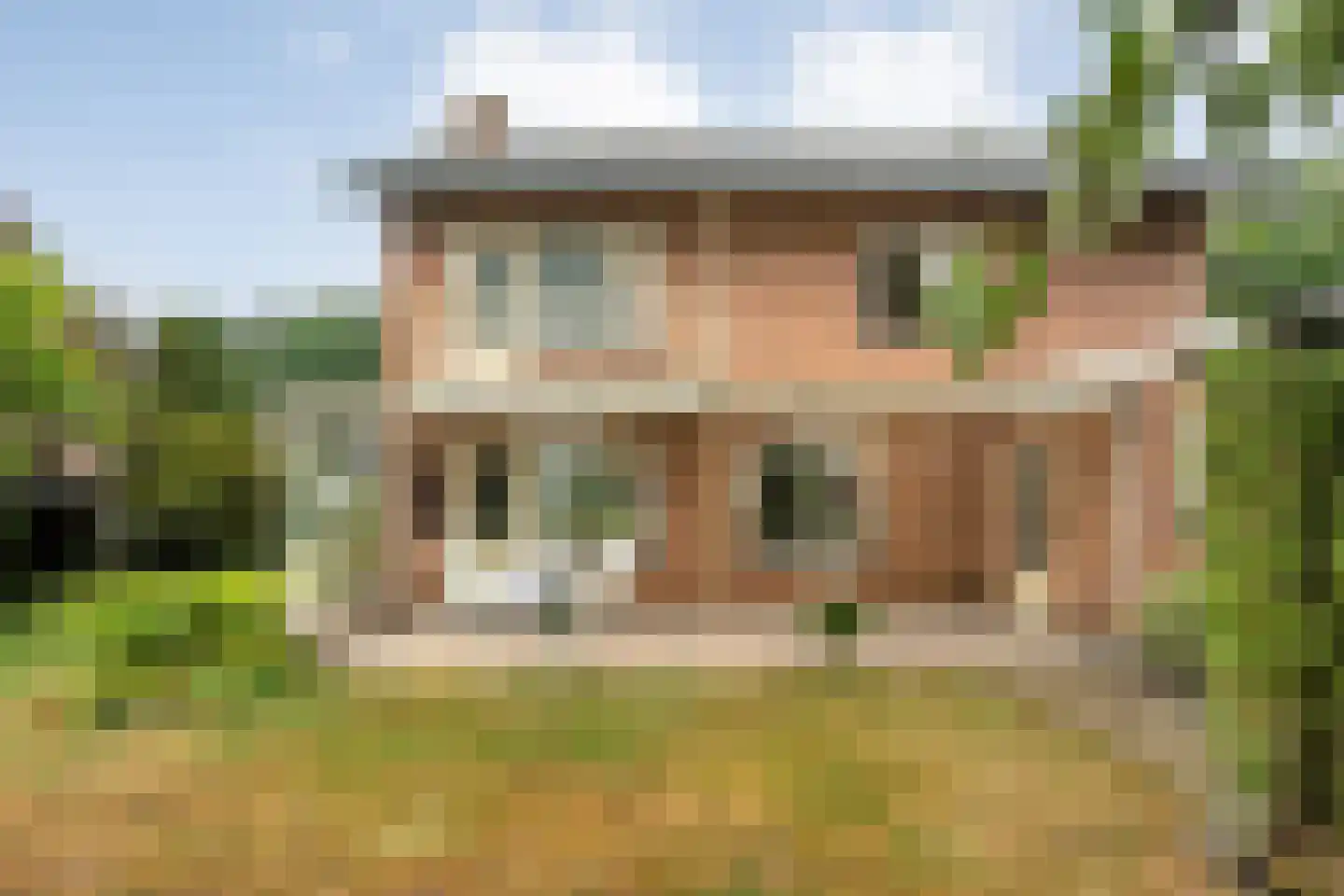 Lossersestraat 7 de Lutte thumbnail 25