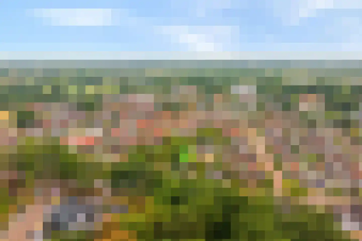 Lossersestraat 7 de Lutte thumbnail 28