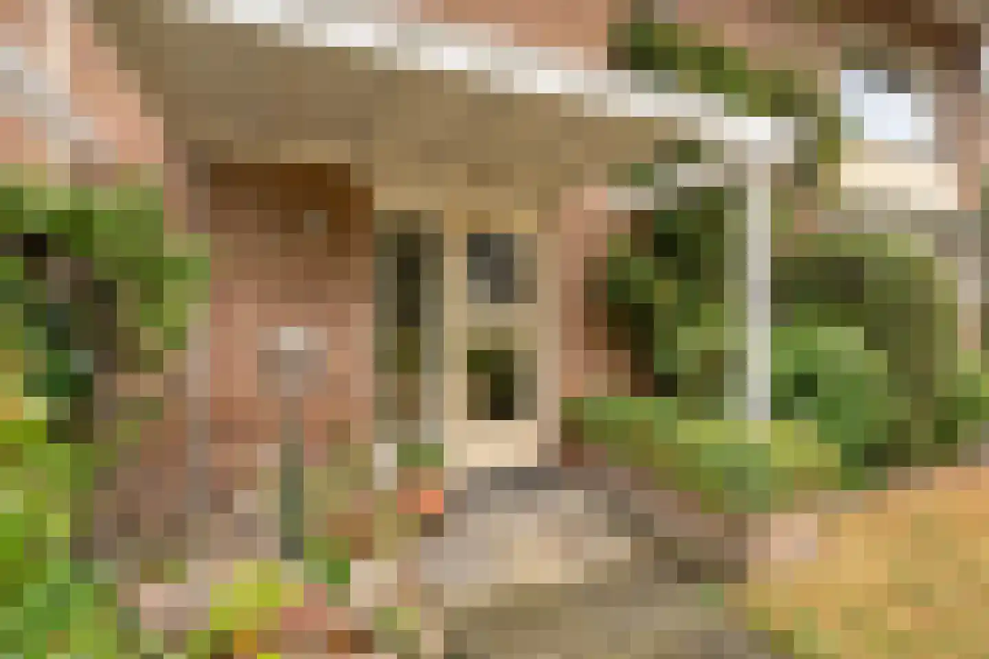 Lossersestraat 7 de Lutte thumbnail 5
