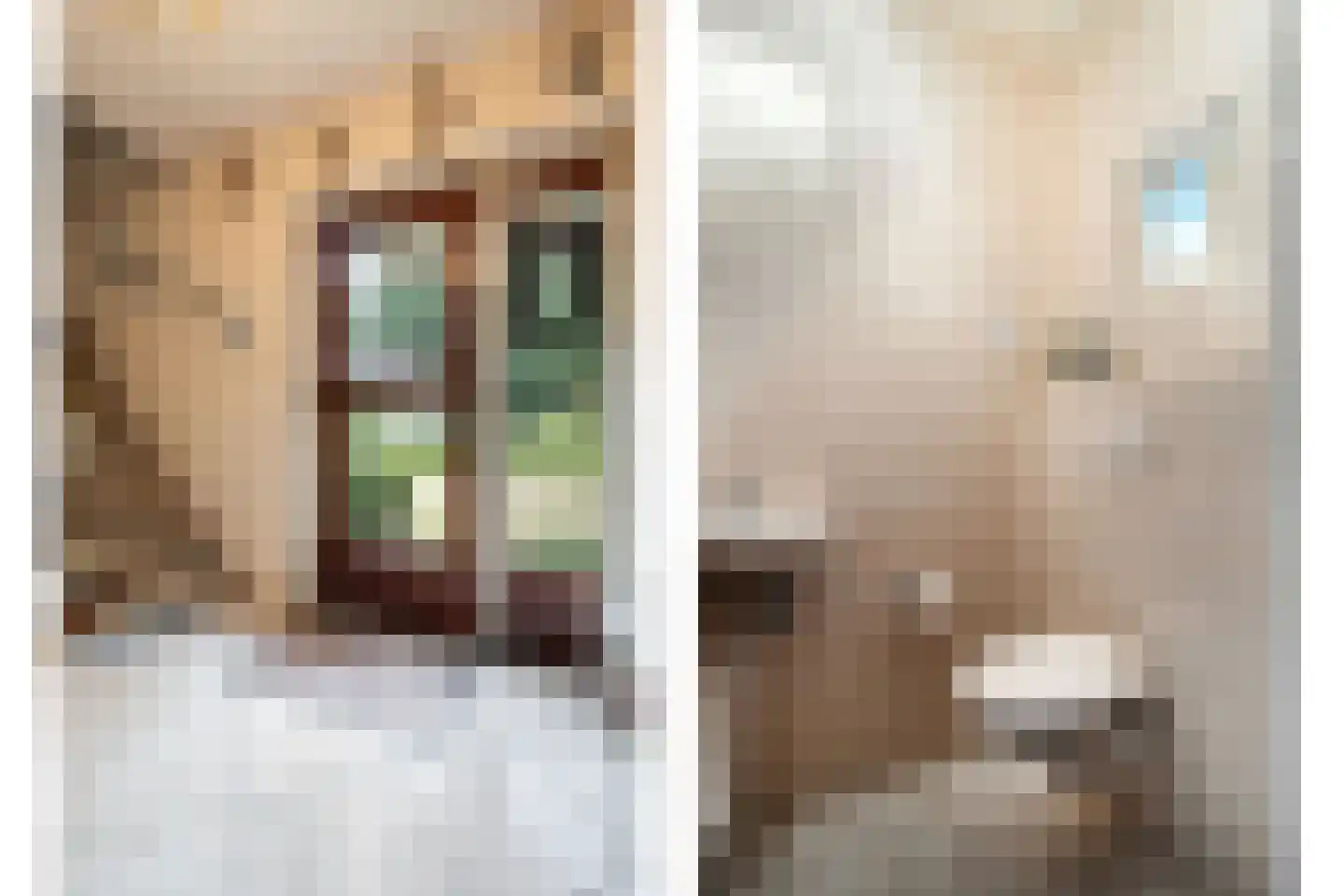 Lossersestraat 7 de Lutte thumbnail 6