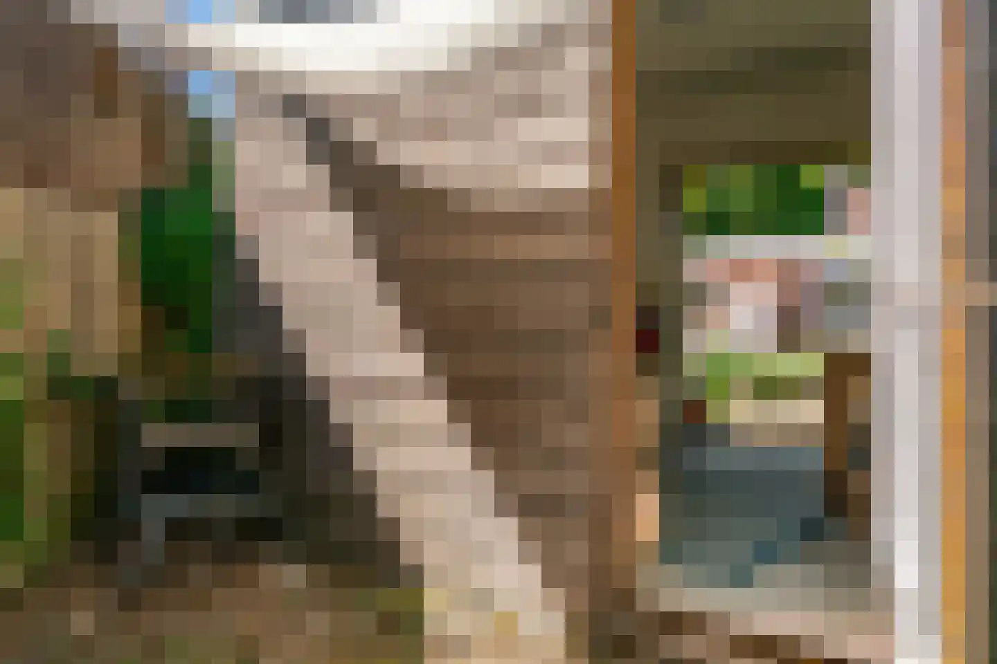 Losvloerstraat 15 Geleen thumbnail 31