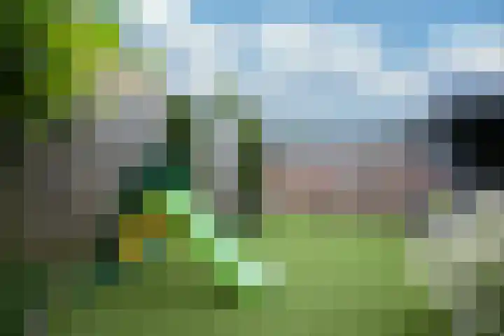 Losvloerstraat 7 Geleen thumbnail 28